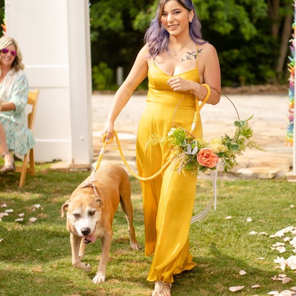 Show Me Your MuMu Dresses & Skirts - Show Me Your MuMu Godshaw Goddess Maxi Dress Honey Gold Sheen Satin Size M